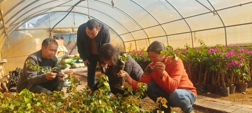 微信图片_20251222104527_22_120