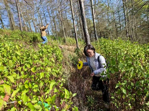 微信图片_20251230155449_37_437