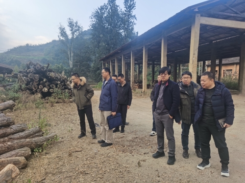 微信图片_20260123091808_322_177