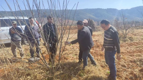 微信图片_20260123154411_261_192