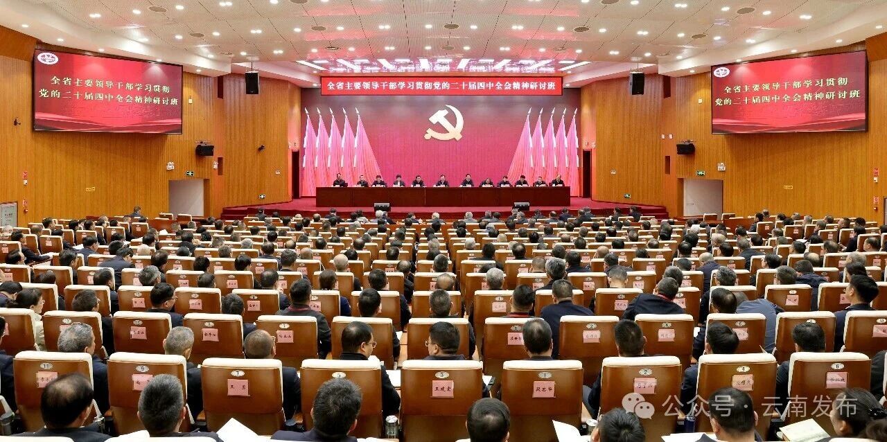 20260210110031546 20260210110031546