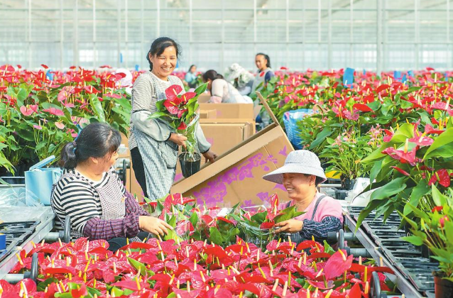 20260210110042640 20260210110042640