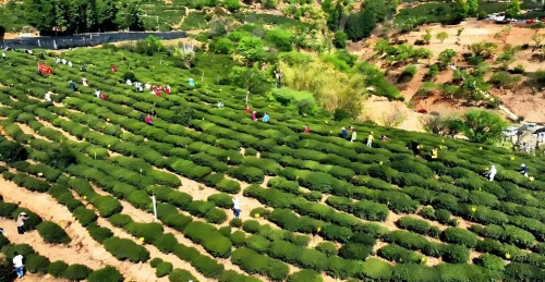 53f8335f37eb4332a0522b21d5860977(1)