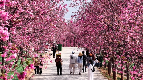 1a1b1a741b294dc5d27b346b00370b53