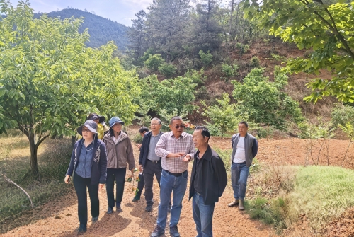 4dcd672935789cc4374c62c1a46b538d