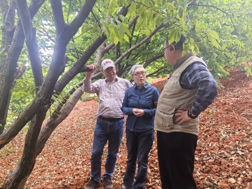 872d6879163da0f5cea68bae72ff195a