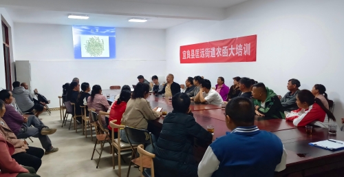 微信图片_20260424093832_6_6